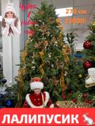 ���� �������������. ��� ����� �� ������������ ����