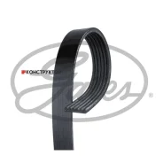 ������ ������������ XF Gates 6PK1153 6PK1153 ����