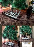 ������ ��������� ��� ��� ������ ������ ����