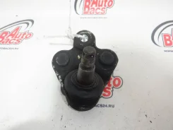 ������� ����� Honda Civic 51230SNAA02, ����� �������� 51230SNAA02 ����