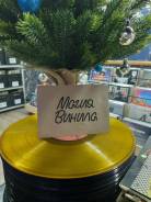 ���������� ���������� �� ������� ��������� ��������� "����� ������" ����