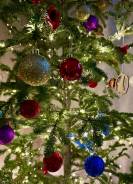 ���� �����. ����