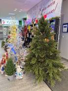 ���� �������������. ����