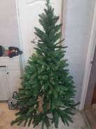 ���� �������������. ����