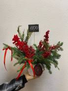 ������ ����������. ����