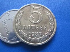 877 . ���� . 5 ������ 1987 � . . ����