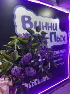 ��������-�����������. �� ������ �.�. ���������� ����, ���������� �����, �������, ����� ���������� 24 ����