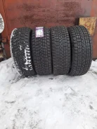 Tourador Winter Pro TSS1. ������, ��� �����, 2023 ���, ����� ����