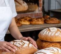 ������. ��� ���������� �����. ����� ������������ 31 ����