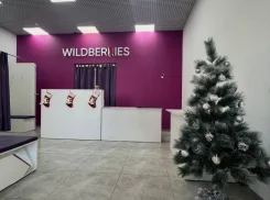 ������ ����� ������ ������� Wildberries ����