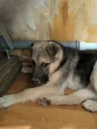 ����� ����� � ������� ���� ��������� ����