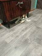 ������. ����