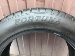Fortuna Gowin UHP. ������, ��� �����, 2020 ���, �/�, ����� 20 % ����
