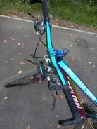 Alpine ����