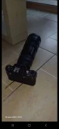 �����. ���: 14� � ����� ����