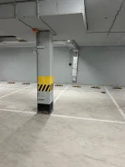 ����� �����������. ����