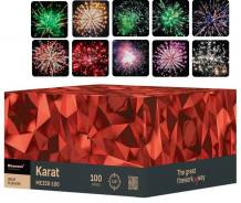 ���� �����������. ����