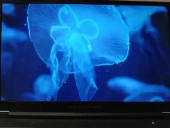 Thunderobot. 15.6", 1,5����, ��� 16 ��, ���� 500���, WiFi, Bluetooth ����