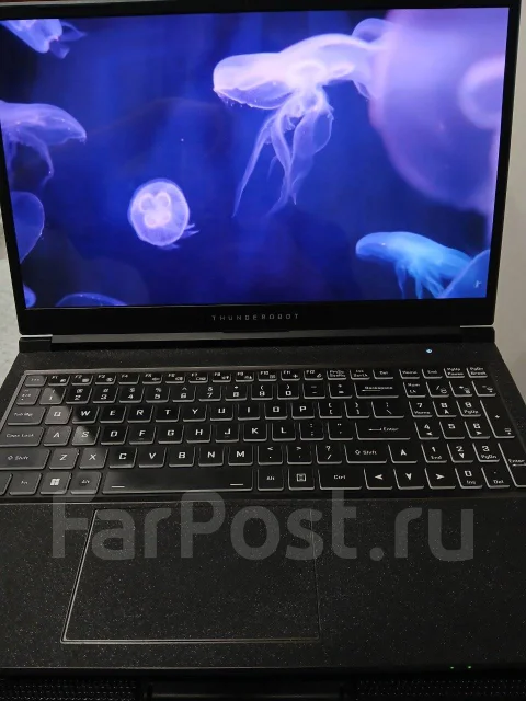 Thunderobot. 15.6", 1,5����, ��� 16 ��, ���� 500���, WiFi: 1, Bluetooth: 1 ����