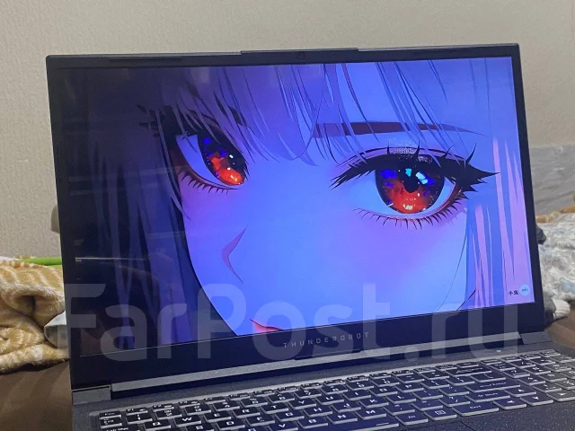 Thunderobot. 15.6", 1,5����, ��� 16 ��, ���� 500���, WiFi: 1, Bluetooth: 1 ����