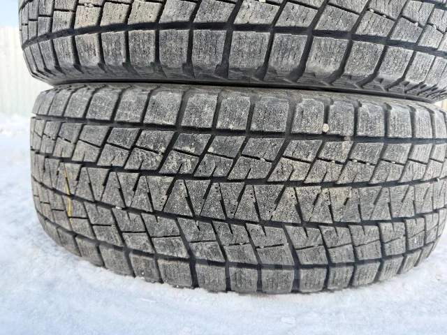 Bridgestone Blizzak DM-V1. ������, ��� �����, �/�, ����� 25 % ����