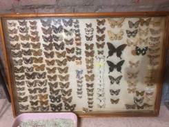 ������ ��������� ������� ����