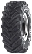 Ascenso XLR 880