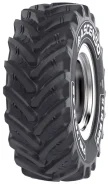 Ascenso XLR 880