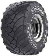 Ascenso FTR 170