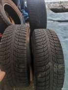 Triangle Snowlink PL01. ������, ��� �����, 2019 ���, �/�, ����� 50 % ����