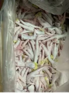 ����. ����