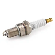 ����� ��������� Champion OE006T10 OE006T10 ����
