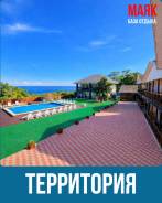 ����������. ����