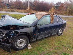 Renault Laguna. VF1856 BO511642353, F3D720 CO12362 ����