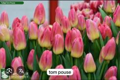 ��������. ����