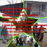 �������. ����������� ����� ������������� ������. �������� 60-����� ������� 107�/1 ����