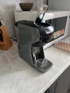 ����������. ����