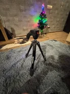 �������. ����