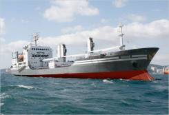 ��������. ��� "������������" " (�� "���������"). ����� ���������� 3 ����