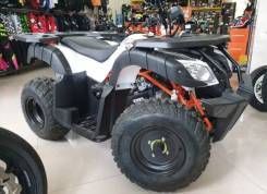 Kayo Mini Bull. ��������, ��� ���\���, ��� �������. ��� ����� �� ���������� ����