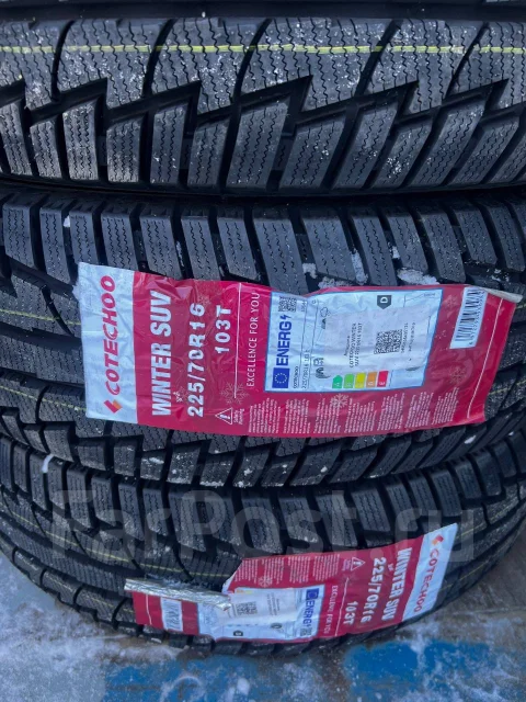 Cotechoo. ������, ��� �����, 2025 ���, ����� ����