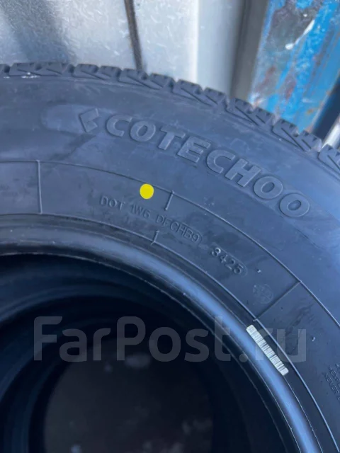 Cotechoo. ������, ��� �����, 2025 ���, ����� ����