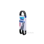 ������ ������������ BP6113 ����
