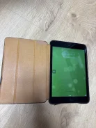 Apple iPad Mini 4. ������ 16 �� ����