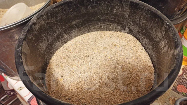 ��������� �������� 24 �. /��. ����