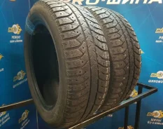Firestone Ice Cruiser 7