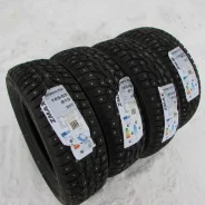 ZMax Winternova Stud I. ������, ����������, 2023 ���, ����� ����