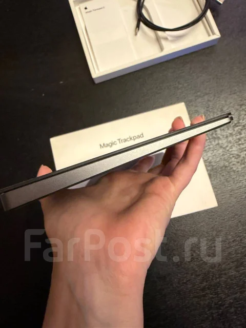 ��������. ����