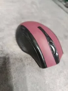 ���� ������������. ����