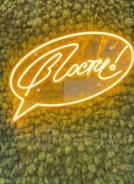 ������������� ����. ���� ������ �� ������� �.�. ����� ��������� 27� ����